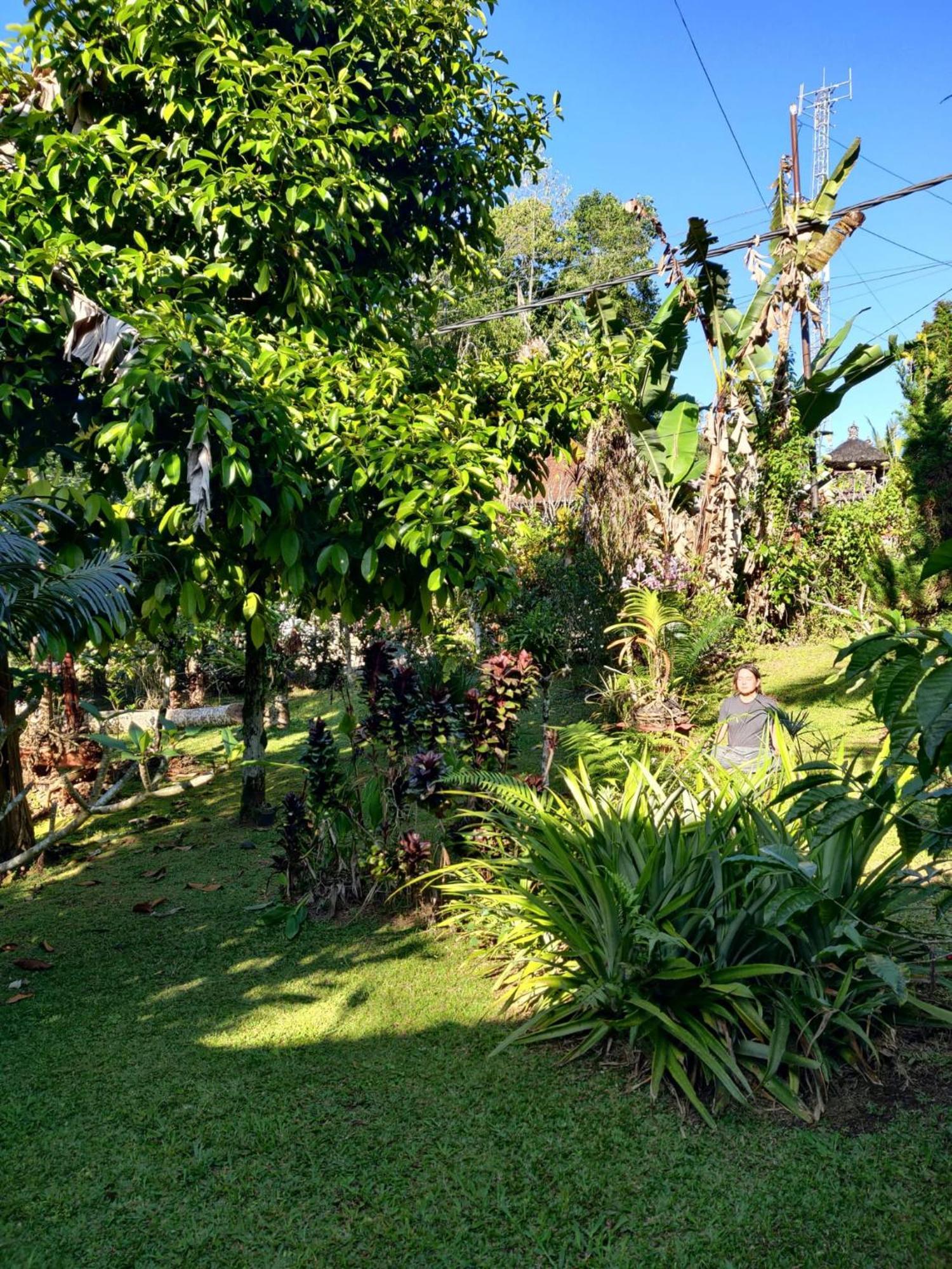 Dina Home Stay At Desa Wisata Wongayagede Jatiluwih Eksteriør bilde