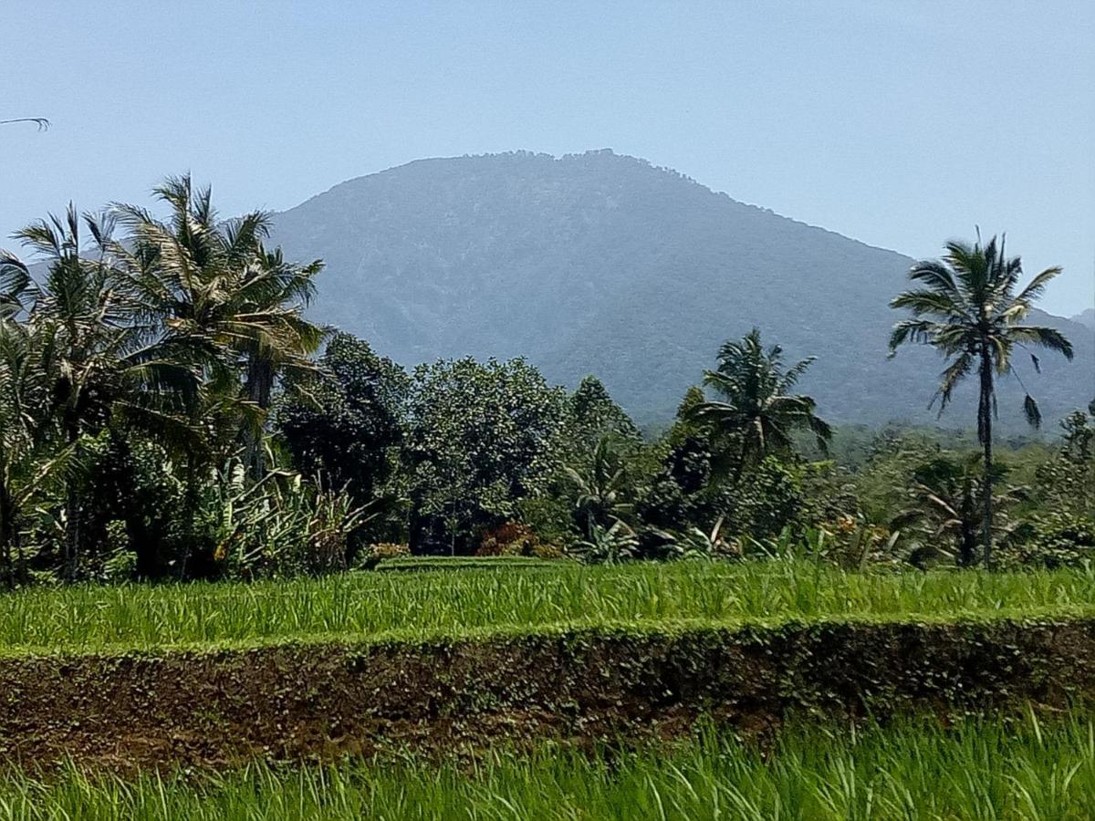 Dina Home Stay At Desa Wisata Wongayagede Jatiluwih Eksteriør bilde