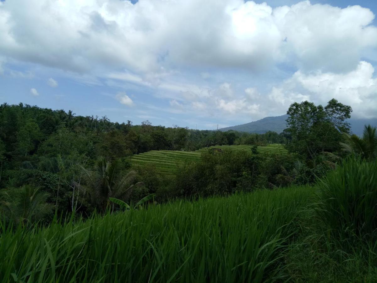 Dina Home Stay At Desa Wisata Wongayagede Jatiluwih Eksteriør bilde